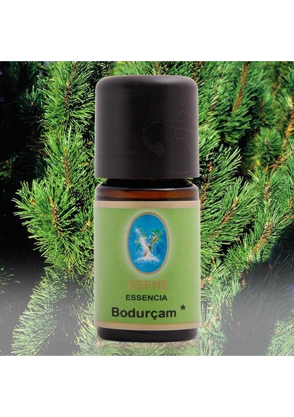 Defne Bodur Çam Yağı 10 ml
