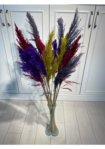 Karışık Pampas 20 Li 110 cm