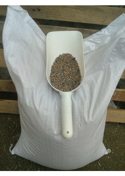 Adi Fiğ Tohumu 25 kg