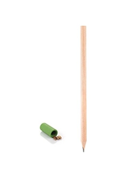 Karaçam Tohumu Tohumlu Kurşun Kalem Tekli