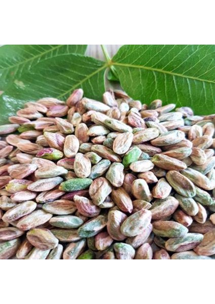 m Boz Iç Antep Fıstığı 400 gr fırsatları