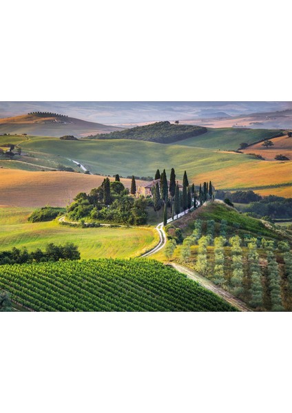 1000 Parça High Quality Yetişkin Puzzle - Tuscany