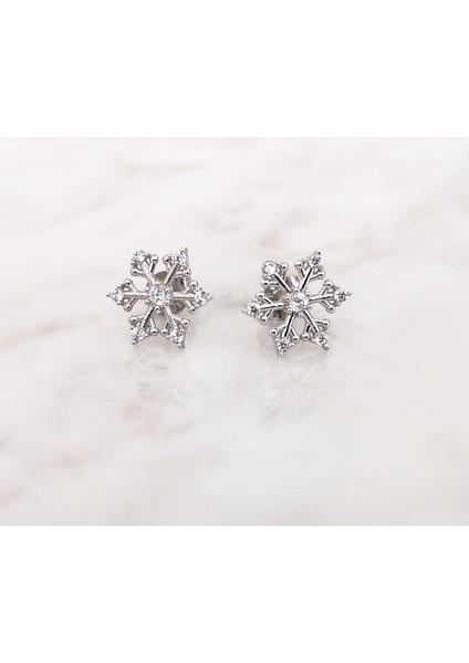 Altınsepeti Gümüş Kar Tanesi Küpe G142KP fiyatları