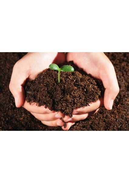 Murat Tohum Zengin Karışım Çiçek Toprağı Özel Karışım 2 Litre Bonsai Ağacı Toprağı
