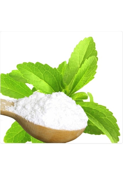 Murat Tohum Stevia Şeker Otu Tohumu 15 Adet Tohum modelleri