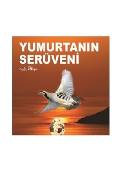 Yumurtanın Serüveni - Esila Tekkeşin