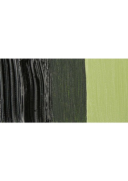 Winton Yağlı Boya 37 ml Sap Green 599 (37) fiyatları