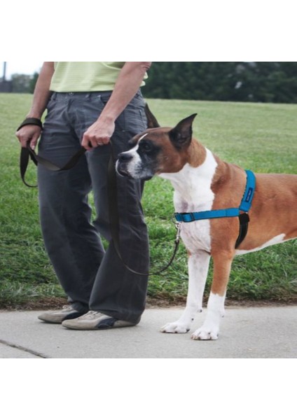 Pet Safe Deluxe Easy Walk™ Harness Mavi Köpek Göğüs Tasması Medium / Large ( 63-89CM)