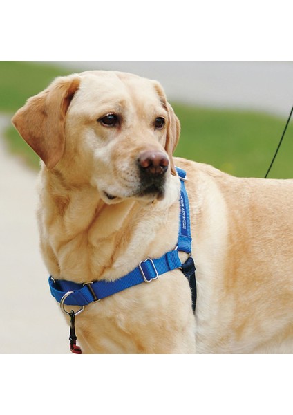 Pet Safe Deluxe Easy Walk™ Harness Mavi Köpek Göğüs Tasması Medium / Large ( 63-89CM)