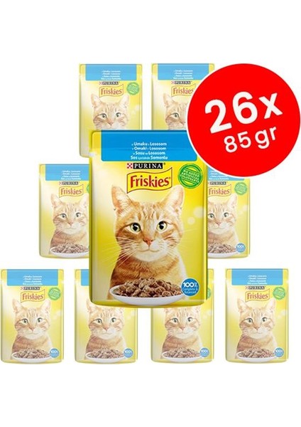 Somonlu Yetişkin Kedi Konservesi 26X85 gr