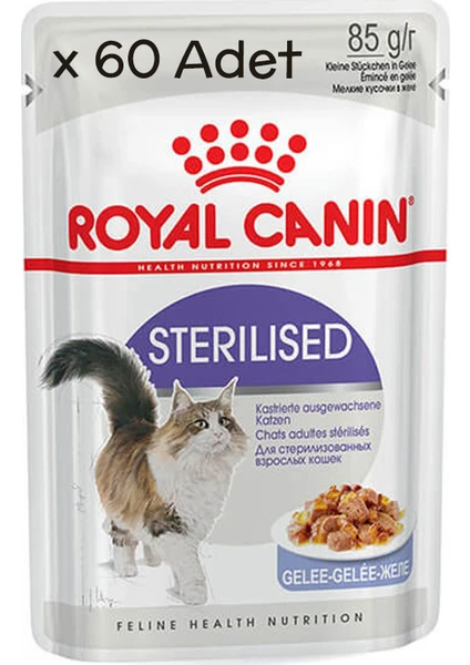 Royal Canin Sterilised Jelly Pouch Kedi Maması 85 gr x 60 Adet