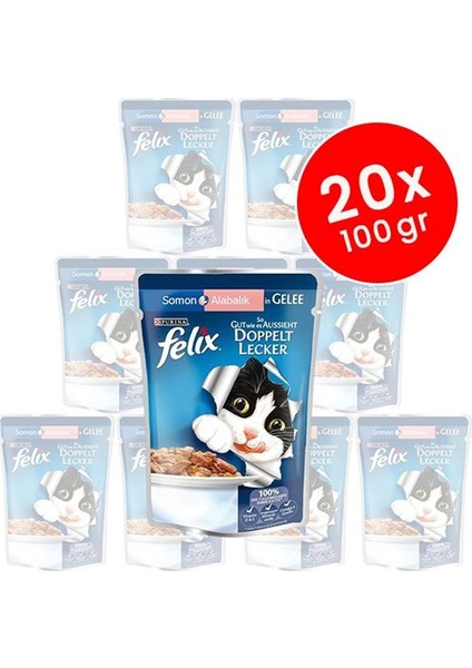 Felix Somonlu ve Sardalyalı Yetişkin Kedi Konservesi 20X100 gr