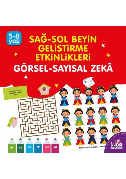 Görsel Sayısal Zeka - Sağ-Sol Beyin Geliştirme Etkinlikleri
