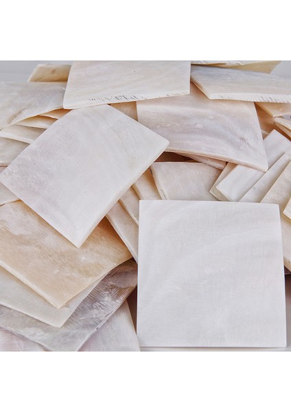 Deniz Kabuğu 500 gr Paket Kiloluk Plaka Macabe