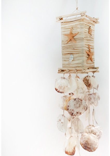 Fener Avize-Placuna Raffıa