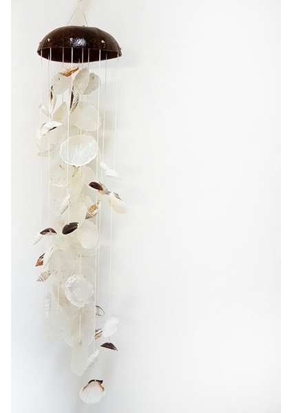 Coco Sarkaç -Capız Karışık Kabuklu