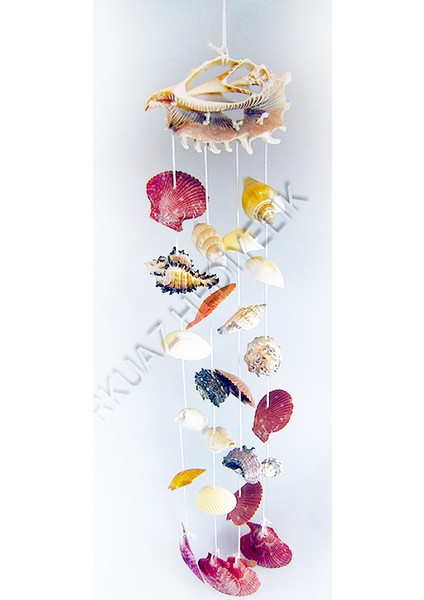 Lambis Kabuk Sarkaç