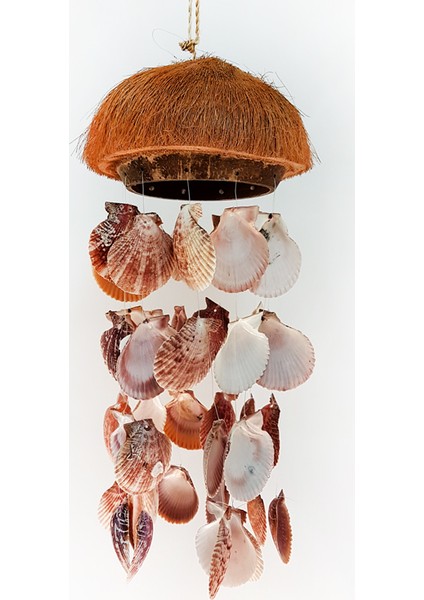 SWC-0289 Tüylü Coco Pecten Novalıs Sarkaç