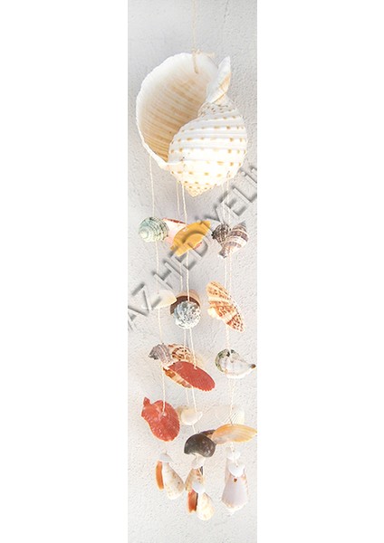 Yuvarlak Kabuk Sarkaç-Tuna Kabuklu