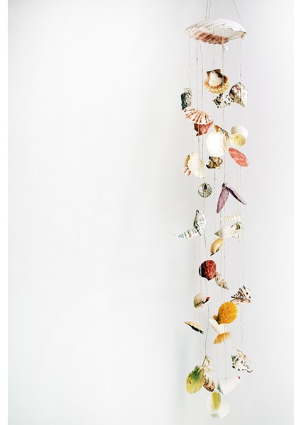 Scallop -Karışık Kabuklu Rüzgar Çanı