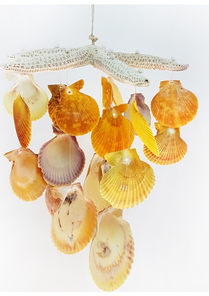 Parmak Yıldız 6"-7"-Novalıs Sarı Sarkaç