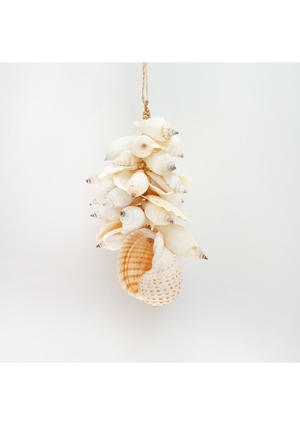 Kabuk Buketi-Tesselata-Epıdormıs