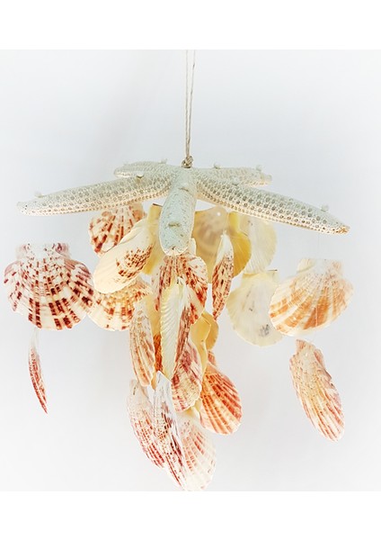 Parmak Yıldız 6"-7" Mascarensıs Sarkaç