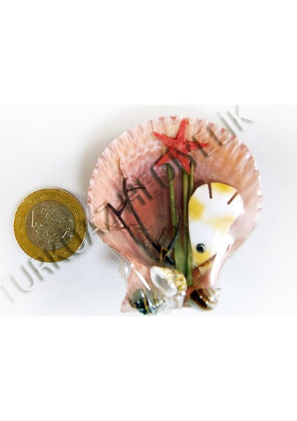 Balık Figürlü Magnet-25'li Set