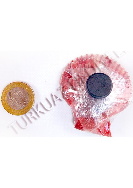 Balık Figürlü Magnet-25'li Set fiyatları