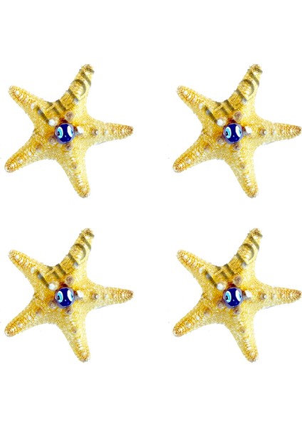 Deniz Yıldızı Magnet