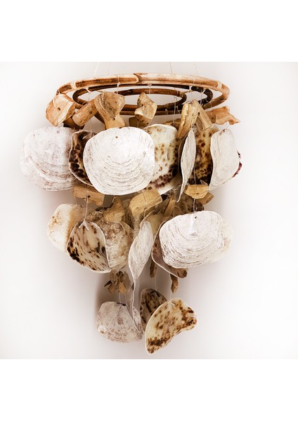 3 Halkalı Placuna Kabuklu-Tahtalı Avize 2,5"