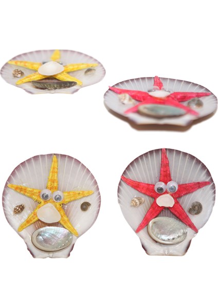 Moonshell Yıldızlı Magnet fiyatları