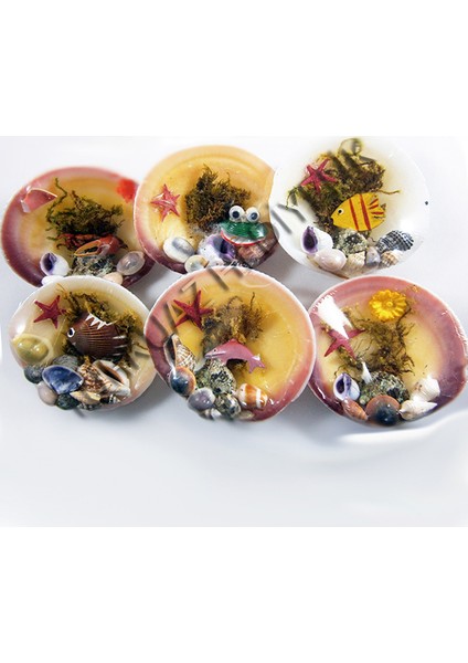 Karışık Magnet-24'lü Set