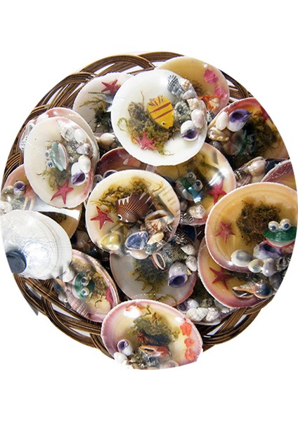 Karışık Magnet-24'lü Set fiyatları