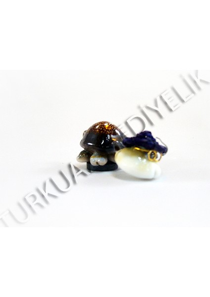 Kaplumbağa Magnet