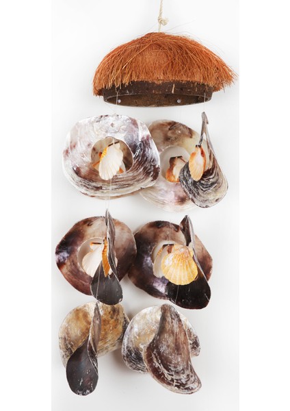 Coco Placuna Kabuk Sarkaç