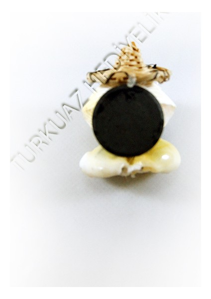 Cochles Adam Magnet fiyatları