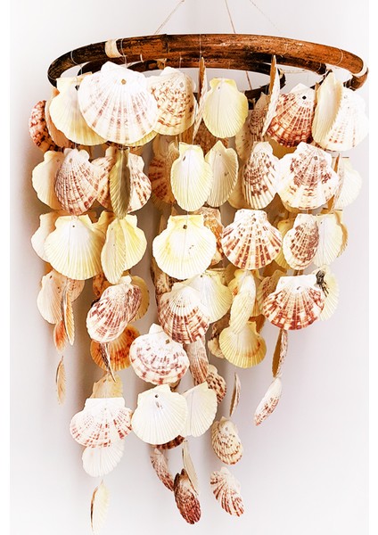 3 Halkalı Mascarensıs Kabuklu Avize 2,5"