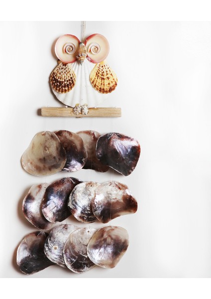 Placuna Baykuş Sarkaç