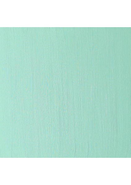 Winton Yağlı Boya 200 ml Emerald Green 241 (18) modelleri