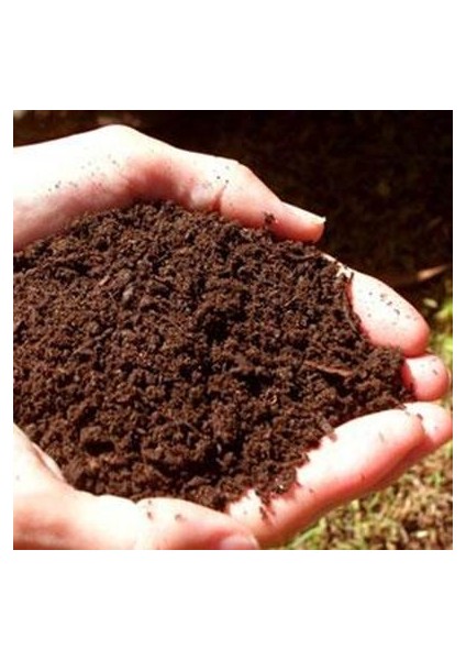 Murat Tohum Orman Toprağı Orman Humusu 1 Litre Orman Toprağı