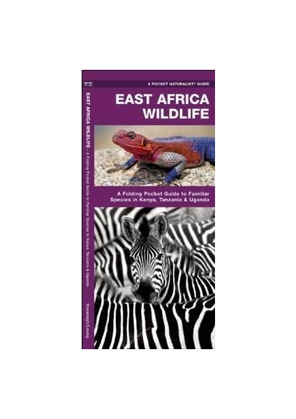East Africa Wildlife - James Kavanagh