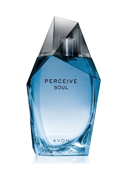 Perceive Soul Erkek Parfüm Edt 100 ml