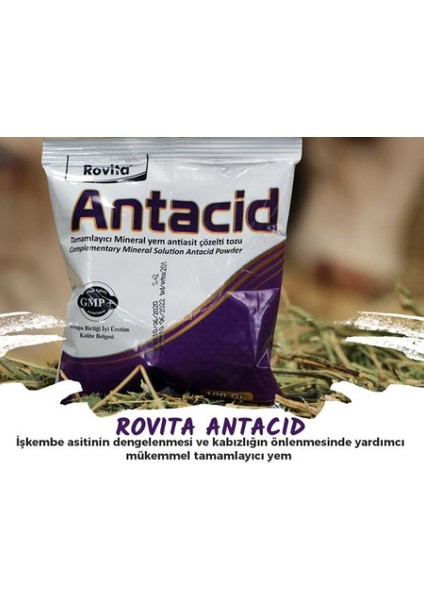 Antacıd Rovıta İşkembe Asit Düzenleyici