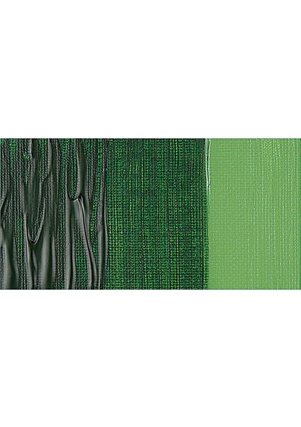 Galeria Akrilik Boya 60 ml Hooker's Green 311