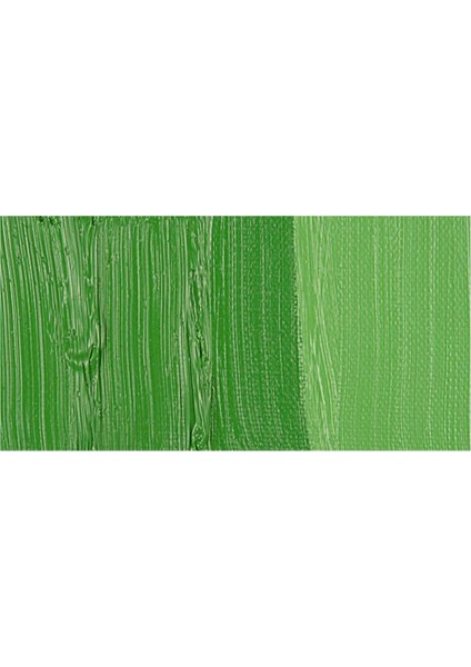 Winton Yağlı Boya 200 ml Permanent Green Light 483 (48)