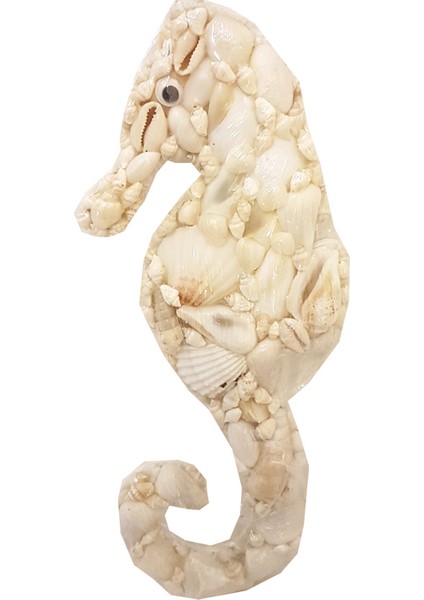 Denizatı Duvar Dekoru-Beyaz Kabuklu