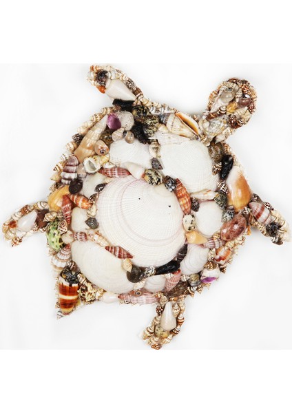 Kaplumbağa Duvar Dekoru