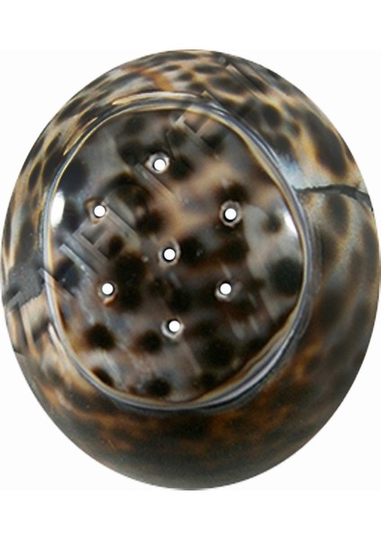 Tuzluk-Tigris modelleri