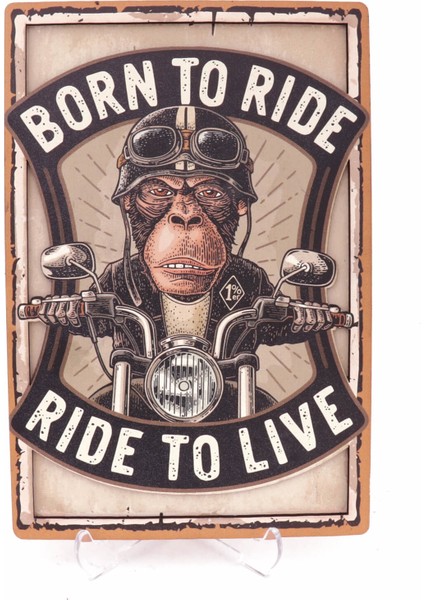 Born To Ride Kutusu